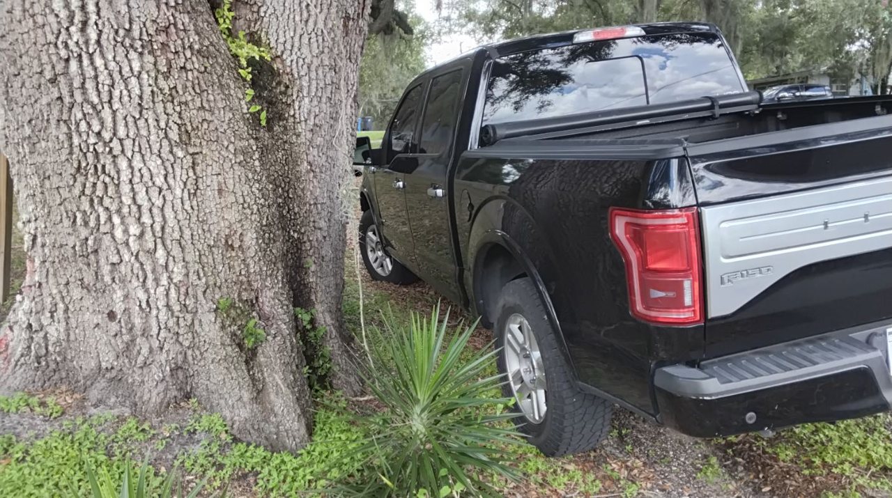 2016 Ford F-150 Limited photo 3