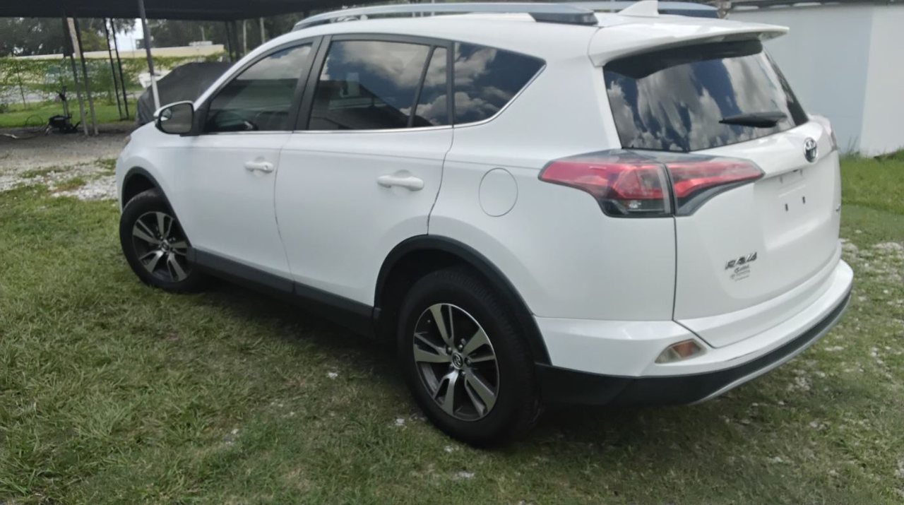 2019 Toyota RAV4 photo 2